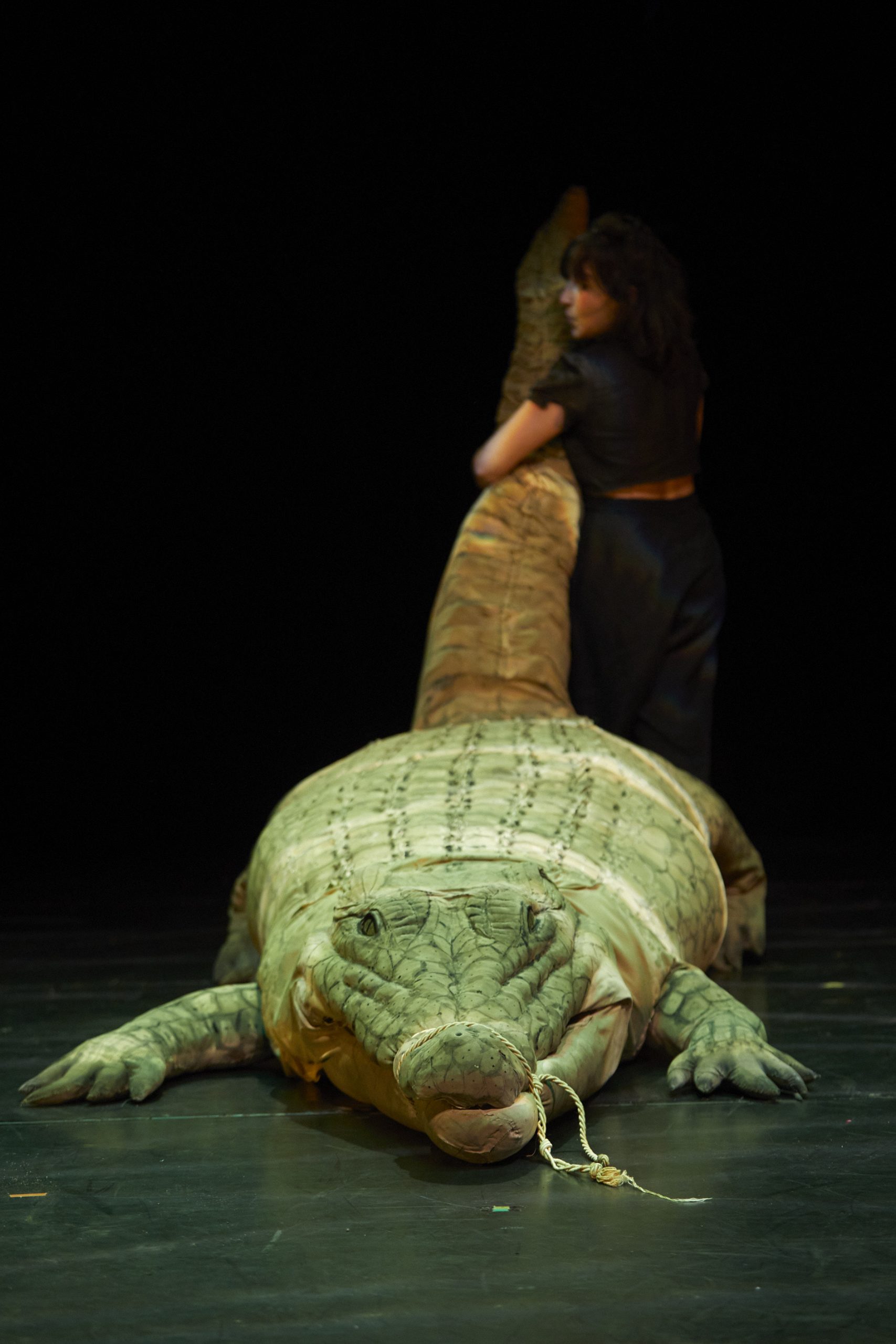 RENCONTRES MARIONNETTES, RENCONTRES MARIONNETTES Copyright: Christophe Loiseau